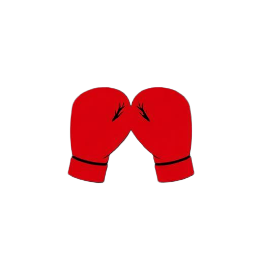 Sparring training pathway